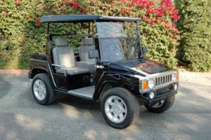 affordable golf cart rental, golf cart rent surprise golf cart rental
